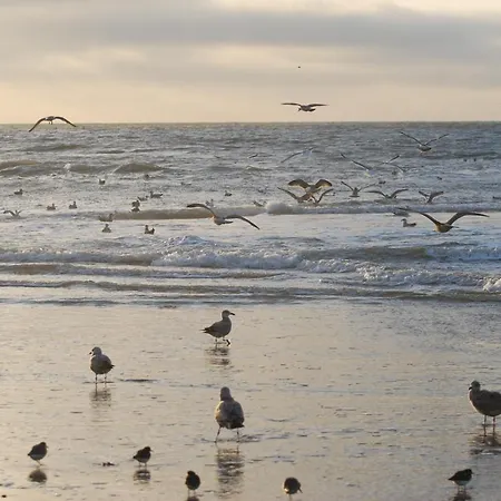 Сasa de vacaciones Idylle Aan Zee, Privé Sauna *