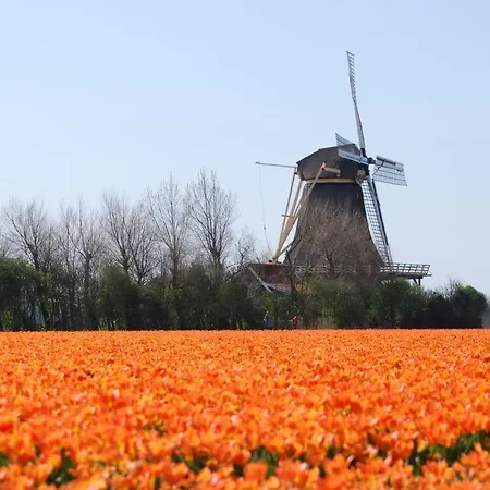 Holiday home Idylle Aan Zee, Prive Sauna *