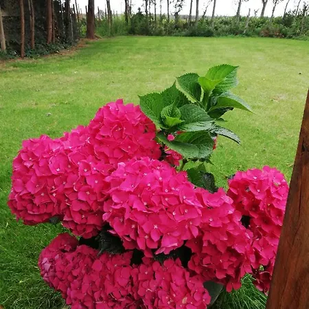 Idylle Aan Zee, Privé Sauna *