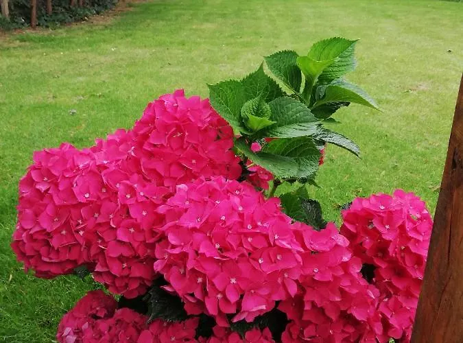 Idylle Aan Zee, Prive Sauna *